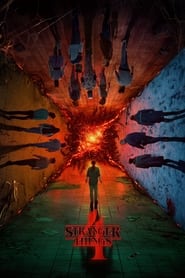 Stranger Things Türkçe Dublaj izle izle