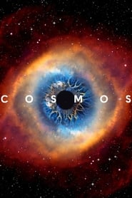 Cosmos: A Spacetime Odyssey izle