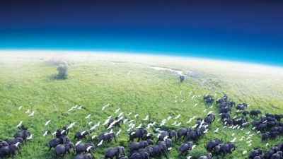 Planet Earth 1.Sezon 3.Bölüm izle