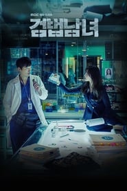 Partners for Justice izle 