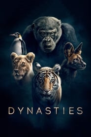 Dynasties izle 