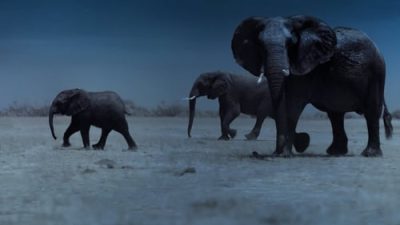 Night on Earth 1.Sezon 4.Bölüm izle