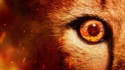 Predators 1.Sezon 5.Bölüm izle
