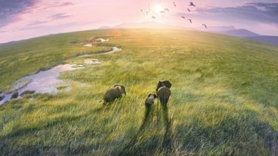 Planet Earth III 1.Sezon 2.Bölüm izle