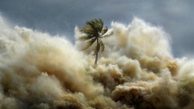 Tsunami: Kıyamet Dalgaları 1.Sezon 3.Bölüm izle