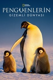 Penguenlerin Gizemli Dünyası izle 