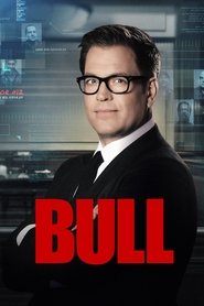Bull Türkçe Dublaj izle 