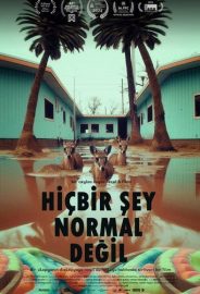Hiçbir Şey Normal Değil izle