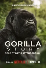 David Attenborough: Bir Goril Hikâyesi izle