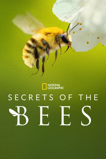 Secrets of the Bees izle 