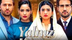 Yalnız Karar 54.Bölüm izle