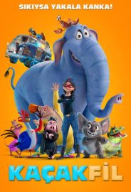 Kaçak Fil izle