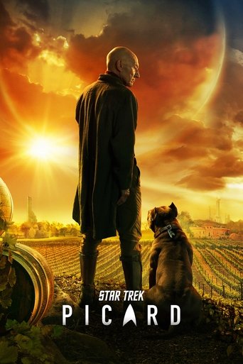 Star Trek: Picard Türkçe Dublaj izle 