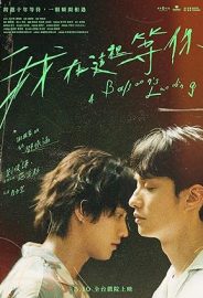 Yitik Balinalar Koyu izle