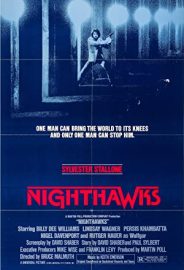 Gece Şahini izle