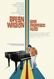 Brian Wilson: Vadedilen Uzun Yol izle