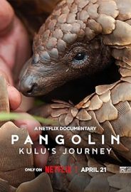 Pangolin: Kulu’nun Yolculuğu izle