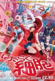 Cells at Work! izle