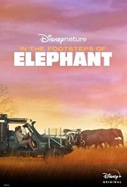 Fil’in Ayak İzinden izle