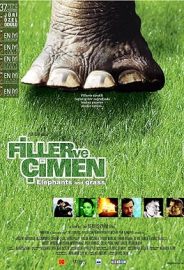 Filler ve Çimen izle