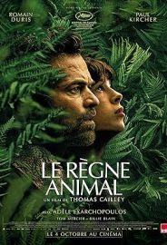Hayvan Krallığı izle