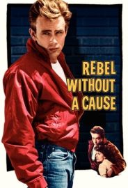 Asi Gençlik izle