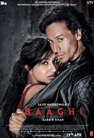 Baaghi: Asi ve Aşık izle