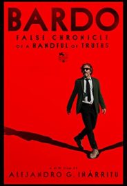 BARDO, Bir Avuç Doğrunun Yalan Yanlış Güncesi izle
