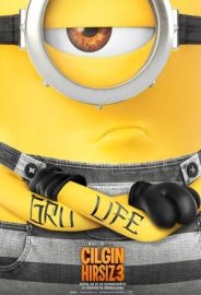 Çılgın Hırsız 3 izle