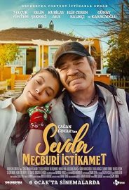 Sevda Mecburi İstikamet izle