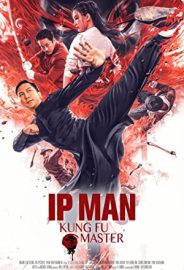 Ip Man: Kung Fu Ustası izle