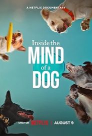 Köpeklerin Aklından Neler Geçiyor? izle