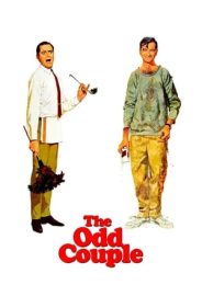 Garip Bir Çift izle
