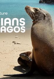 Galapagos’un Koruyucuları izle