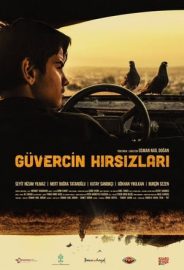Güvercin Hırsızları izle