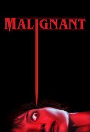 Habis izle