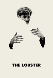 Istakoz izle