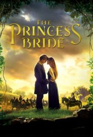Prenses Gelin izle
