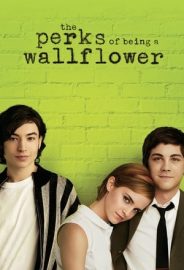 Saksı Olmanın Faydaları izle