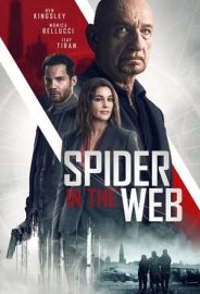 Ağdaki Örümcek izle