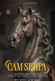 Cam Sehpa izle