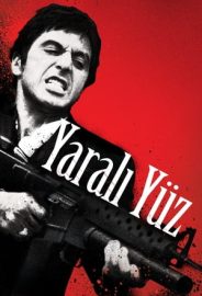 Yaralı Yüz izle