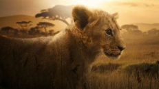Lion 1.Sezon 2.Bölüm izle