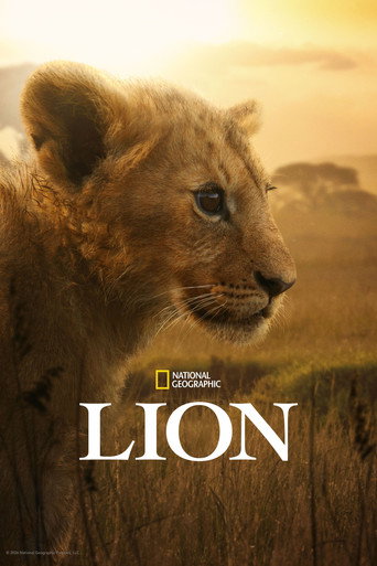 Lion izle