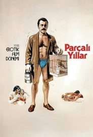 Parçalı Yıllar izle